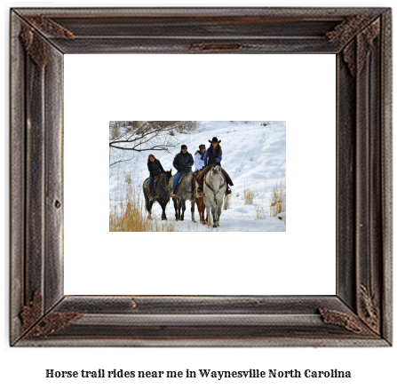 horse trail rides near me in Waynesville, North Carolina